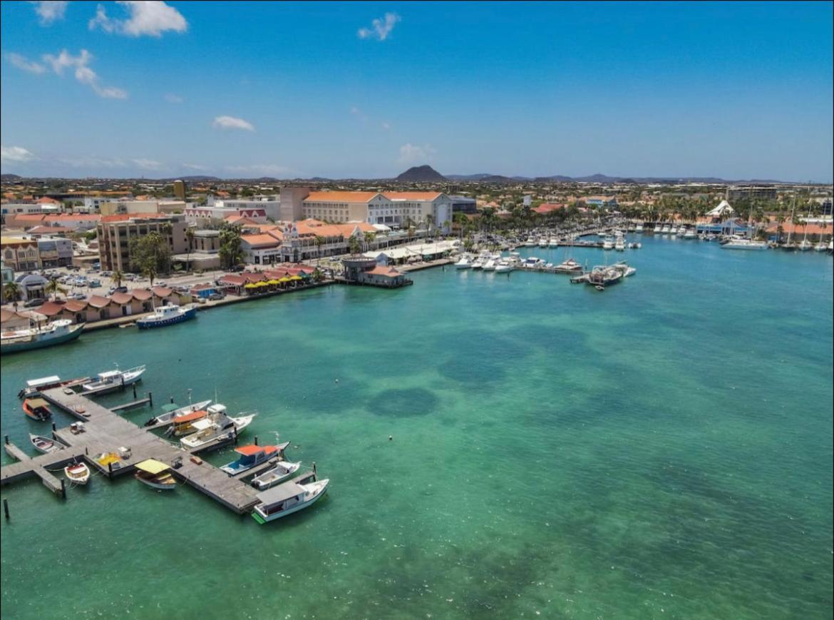 Luxury Condo With Infinity Pool & Ocean View Oranjestad Dış mekan fotoğraf